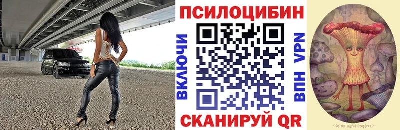 где можно купить   Болохово  Галлюциногенные грибы мицелий 